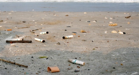 Cấm hút thuốc trên bãi biển và công viên