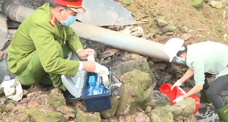 Công ty chăn nuôi lợn xả thải trực tiếp gây ô nhiễm môi trường