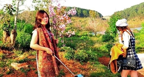 Sau khi bị "truy" trách nhiệm, nữ PGĐ Sở “cầm hoa” có bị xử phạt hành chính?