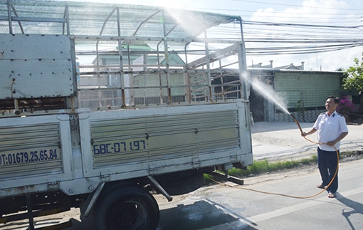 Sóc Trăng tiêu hủy gần 150 con heo bị dịch tả heo châu Phi