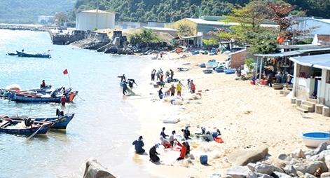 Xuân trên “vùng biển tàu không số”