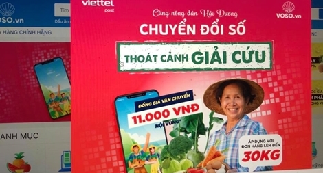 “Giải cứu” nông sản trên sàn thương mại điện tử