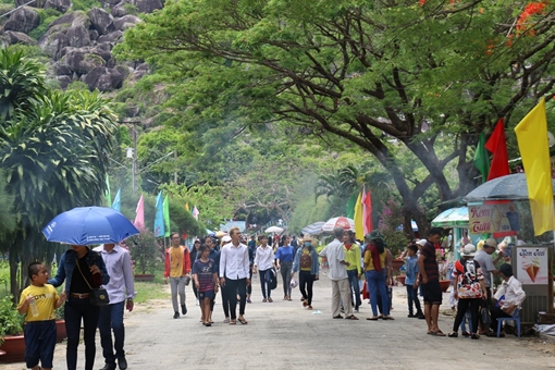 Đồi Tức Dụp – Màu hoa đỏ