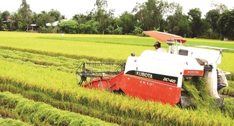 Làm nông nghiệp thời…  4.0